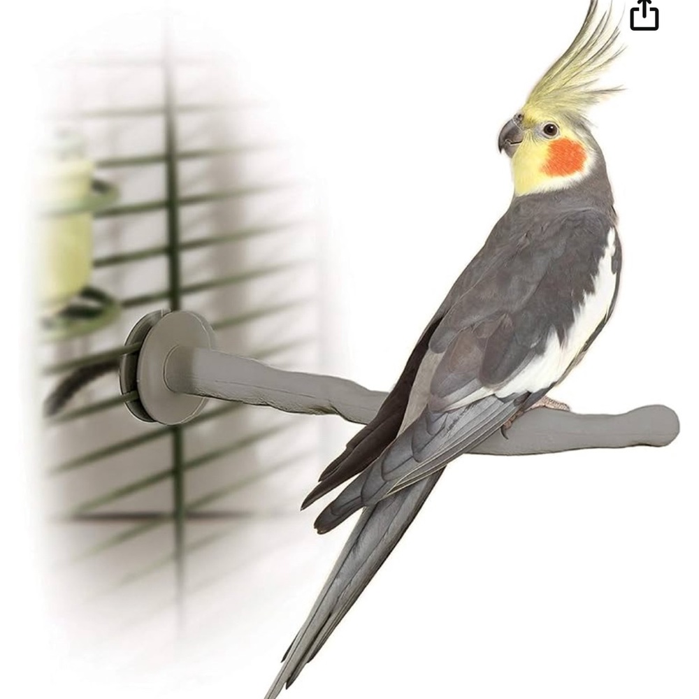 K&H PET PRODUCTS Thermo-Perch Heated Bird Perch Gray Small 1 X 10.5 Inches